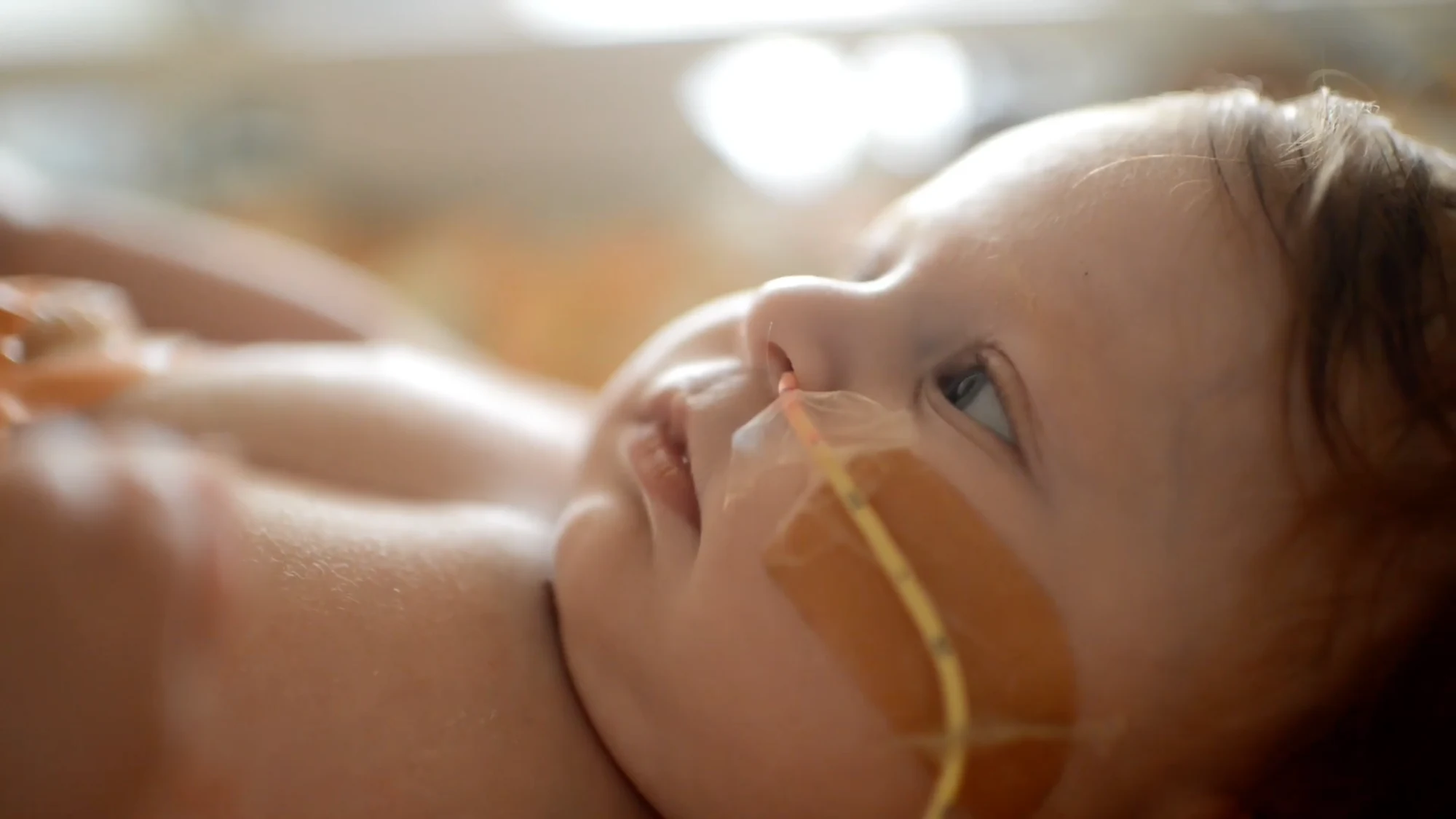 Frame 6 of 9 from the Juniper film