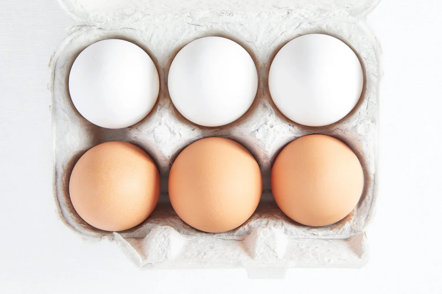 Incredible Edible Egg image 6 of 12