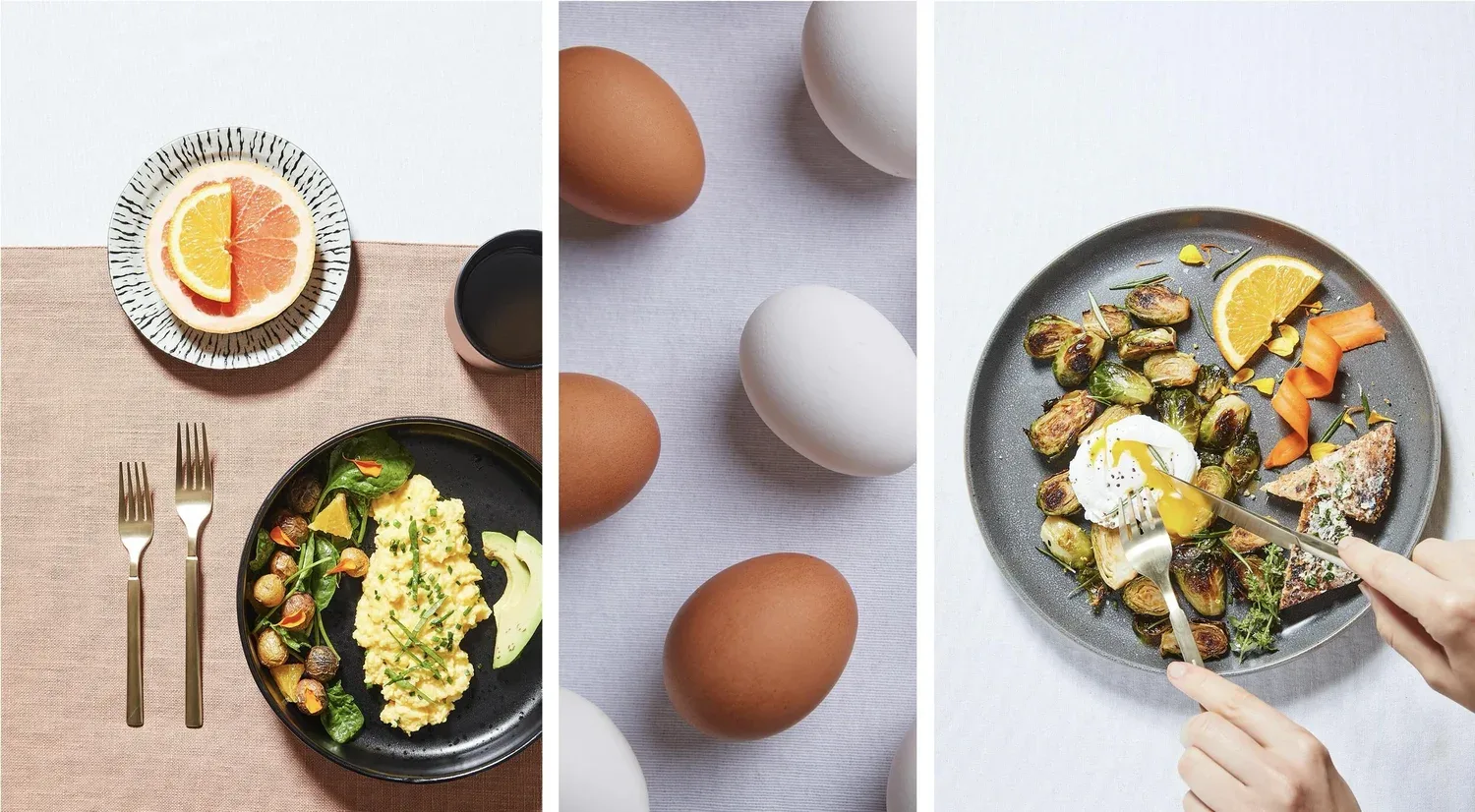 Incredible Edible Egg image 27