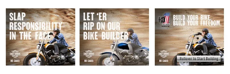 Harley-Davidson® image 11