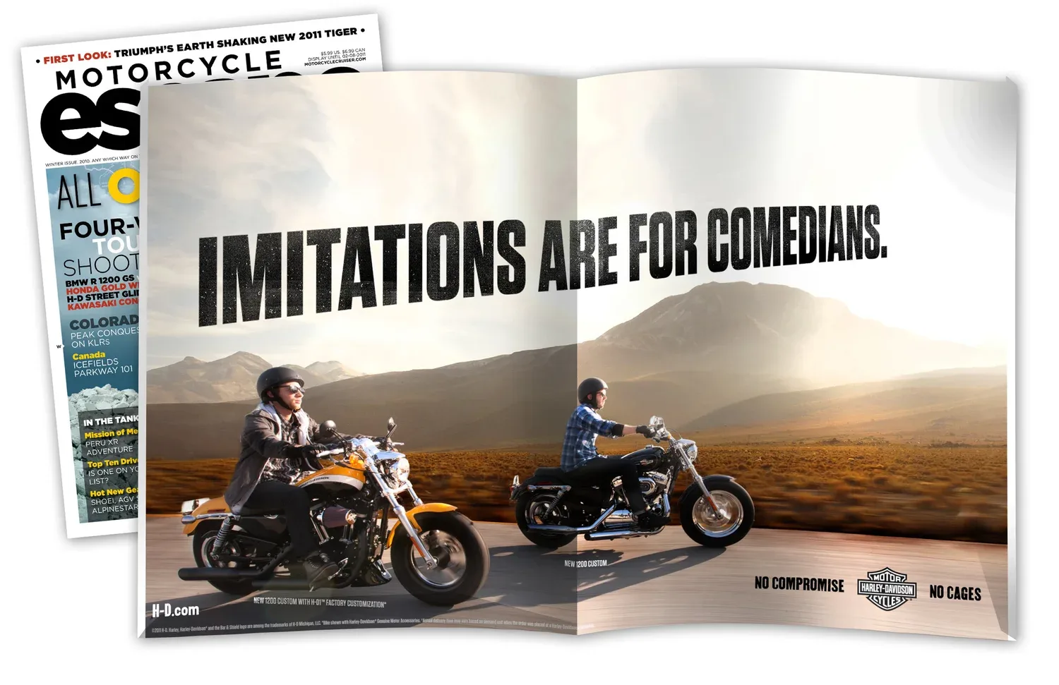 Harley-Davidson® image 13