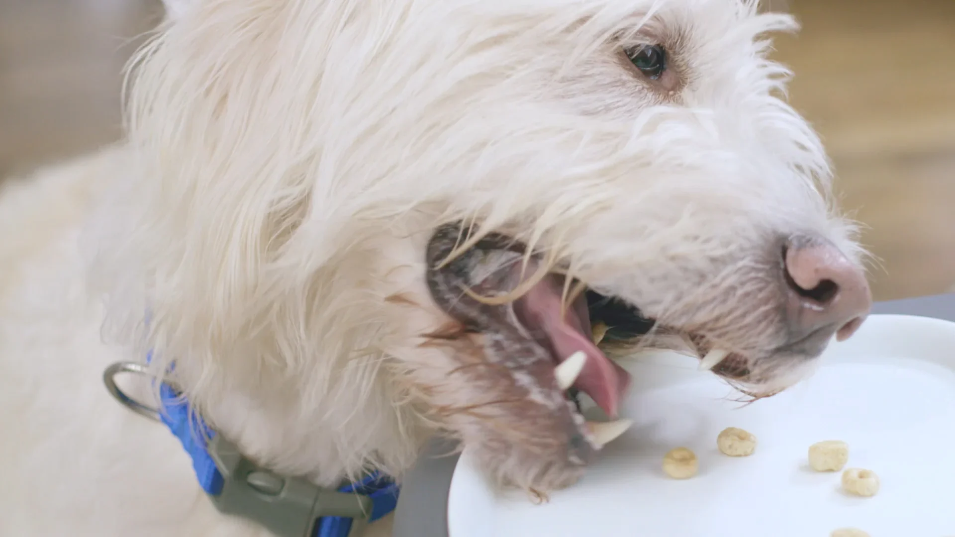 Frame from the Worry-Free spot 3 of 6